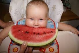 Watermelon is a great treat to offer your chickens. Funny Baby Eating Watermelon