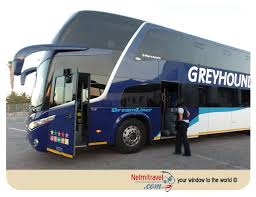 Greyhound was the first luxury coach operator to start an intercity scheduled service as far back as 1984. Greyhound Bus South Africa Review And Information Nelmitravel
