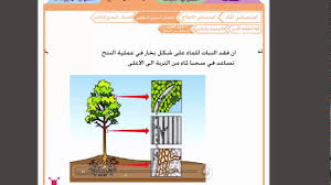 النقل عاشر انتقال النسغ الناقص النسغ الكامل Youtube