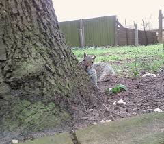 Ian Huxtable (iancharleshuxta)