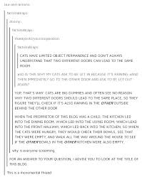 So No One Told You Life Was Gonna Be This Way Rtgame Screaming About Cats With Images Tumblr Funny Humor Funny