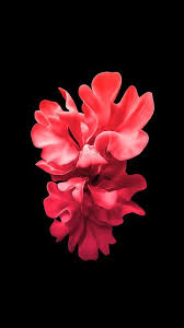 خلفيات ايفون جديدة بجودة عالية hq wallpapers iphone خلفيات الشاشة و القفل iphone wallpaper apple wallpaper iphone iphone wallpaper video