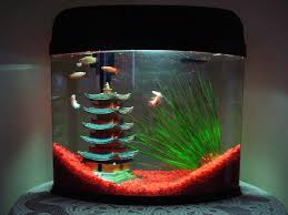 I Like The Way The Gravel Is Done In This Tank Super Cool And Different Looking Fish Tank Themes Fish Tank Decorations Cool Fish Tanks