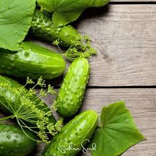 Image result for Cucumis cinereus