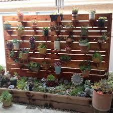 So let them get direct sunlight for a couple of hours in the mornings. Succulent Wall Succulent Wall Planter Succulent Wall Garden Wall