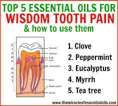 Pin On Dental Care
