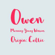 Owen Baby Names And Meanings Little Boy Names Baby Boy Names