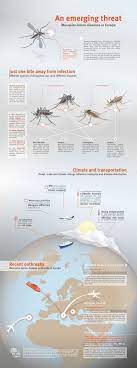 Insect Vectors Why Are They Spreading Worldwide Disease Infographic Medical Infographic Mosquito