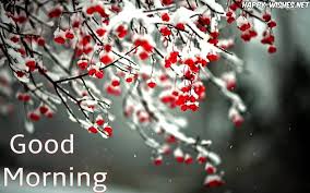 Good Morning Winter Images With Snow On Tree Good Morning Winter Good Morning Winter Images Good Morning Wishes Wishing you a beautiful day. good morning winter images with snow on
