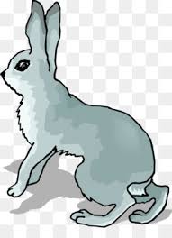 34+ snowshoe coloring pages for printing and coloring. Snowshoe Hare Png Cartoon Snowshoe Hare Transparent Cartoon Snowshoe Hare Snowshoe Hare Igloo Baby Snowshoe Hare What Do Snowshoe Hare Eat Animals Snowshoe Hare Cartoons Snowshoe Hare Color Snowshoe Hare Gifs Snowshoe Hare Crafts Snowshoe Hare