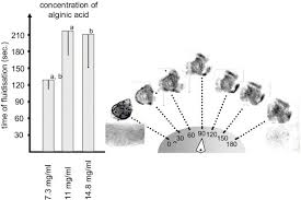 Cryopreservation of spermatozoa in alginic acid capsules