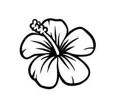 671x623 Hibiscus Coloring Page Hibiscus Flower Coloring Pages Hibiscus Easy Flower Drawings Hawaiian Flower Drawing Hibiscus Drawing