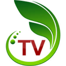 Urmareste online postul tv pro tv live gratis cu flash, calitate hq. Pro Tv Chisinau Watch Online Live