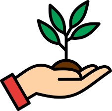 Reforestación ecológica