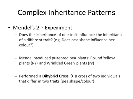 Genetics Unit Ppt Download