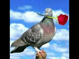 Usiku mwema - YouTube