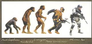 Human Evolution