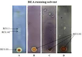 Image result for Pavetta sp. B