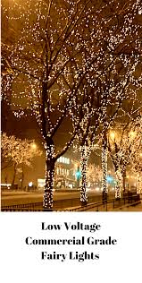 Fairy Lights For Harsh Outdoor Conditions Outdoor Fairy Lights Outdoor Christmas Lights Christmas Lights Outdoor Trees
