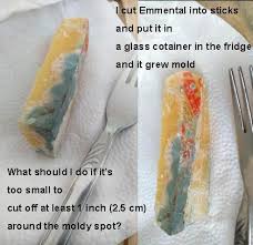 Jun 26, 2021 · you can search our blog archive by ingredient or key words. Need Advice I Cut Up A Bunch Of Cheese Sticks All Grew Moldy Should I Throw Them Away Cheese