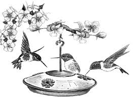 If you live in a location where hummingbirds are numerous, you can have a surprising number of hummingbirds coming to drink. Bird Watcher S General Store