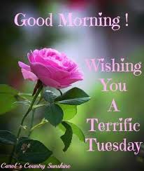 Looking for some funny good morning quotes to accurately explain exactly how you feel about said good morning? grab that coffee and dig in. Happy Tuesday Funny Morning Quotes Quotesgram