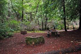 Across a road from the main campground, it's a nice option for those who want to get away, but don't want to sleep on the ground. Samuel P Taylor State Park Campground
