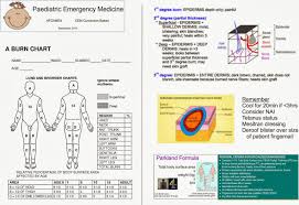 Paediatric Emergency Medicine September 2013