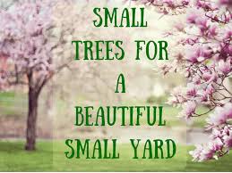 Is it possible to have fruits, or even flowers? 39 Small Trees Under 30 Feet For A Small Yard Or Garden Dengarden