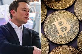 Musk received 54 percent of the vote. Bitcoin Value Drops After Elon Musk S Tweet Hypebeast