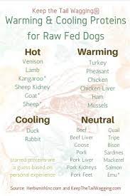 Do You Have A Dog With Allergies Understanding The Temperature Of Food Helped Me Figure Out W Dog Food Recipes Healthy Dog Food Recipes Raw Feeding For Dogs
