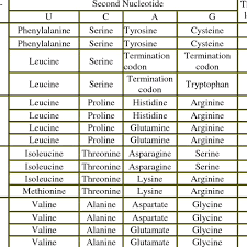 Codon And Amino Acid Comparison Table Download Table