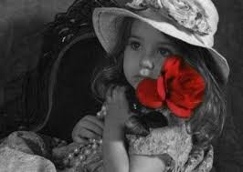 صور ورود رومانسية جديدة تعبر عن الحب عالم الصور Color Splash Colorful Backgrounds Mardi