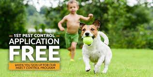 At custom lawn care, from garden clearance to full garden maintenance, we're here to help you create the garden of your dreams. Custom Lawn Care In Olathe Ks Mowing Sprinkler Repair