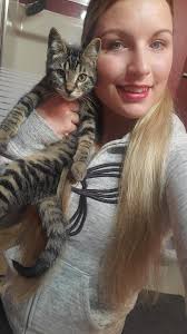 Are you missing a kitten? Not feral. Posted