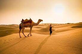 Gadisar lakelake, 20 km east. 11 Jaisalmer Desert Safari Tours From Rajputana Cabs From Rs 500 Per Pax