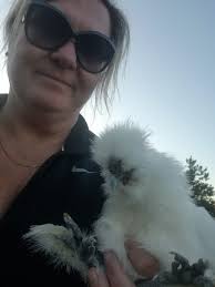 Jonathan Vandver I found you a new rooster! 😂🤣😂🐓😁