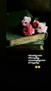 Pin By Hermis Chacko On Mind In 2020 Boxing Quotes Reality Quotes Malayalam Quotes