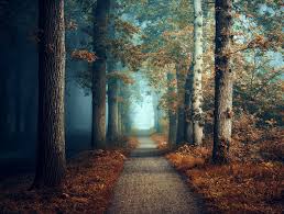 Somewhere Down The Road By Northstar76 Deviantart Com On Deviantart Somewhere Down The Road Road Scenic Routes