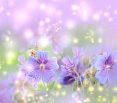 If you're in search of the best spring wallpapers, you've come to the right place. Spring Background Hintergrundbild Nawpic