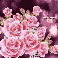 Https Encrypted Tbn0 Gstatic Com Images Q Tbn 3aand9gcrzszkcjq5wvfhyol6wdclkloennzsv6qlj0q Usqp Cau