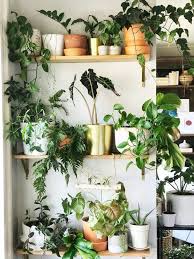 42 Amazing Indoor Garden Decorations Tips And Ideas Indoor Plant Wall Small Indoor Plants Indoor Plant Shelves