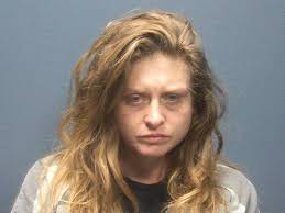 JOHNSON-WILLIAMSON, STEPHANIE L Charges: VIOLATION OF PROBATION GSC 3RD  OFFENSE This information and more is available at  isoms.seviercountytn.org:9000/Jail?hours=24