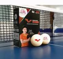 Double Fish V40+ 3 star Table tennis balls – Rodney's Table ...