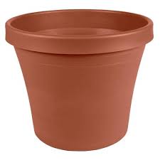 Shop now or call 800.919.1904! White Terra Cotta Pots Target
