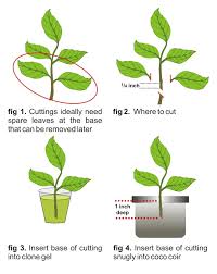 Related image
