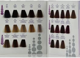 international colour charts for hairdressing hair and