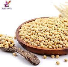 Image result for Brazzeia soyauxii