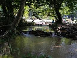 Alam sekitar di malaysia march 2015. Kepentingan Menjaga Alam Sekitar Promosi Produk Coway Terkini 2016