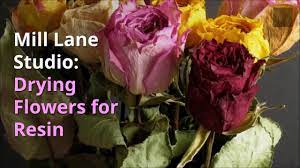 The use of silica gel in preserving flowers takes a little more patience, but the results are exhilarating. How To Quickly Dry Flowers With Silica Gel In The Microwave Youtube